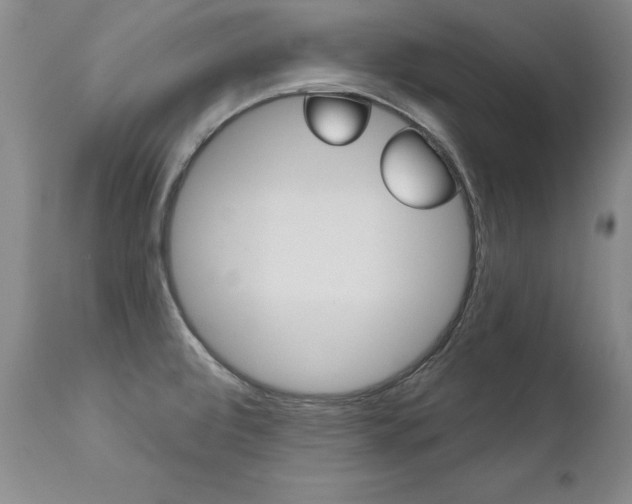 X0000112461472200908171004