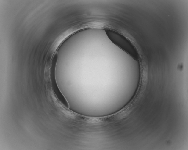 X0000112461473200908171004
