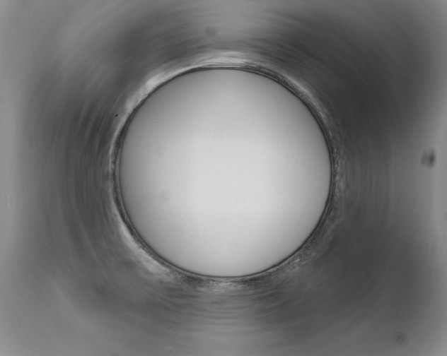X0000112461475200908171004