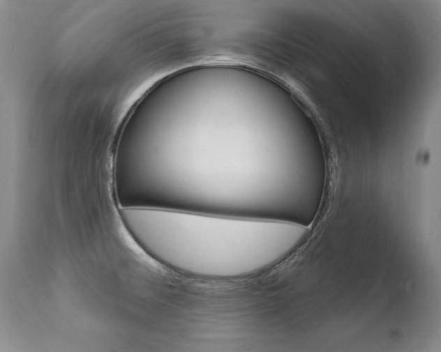 X0000112461476200908171004