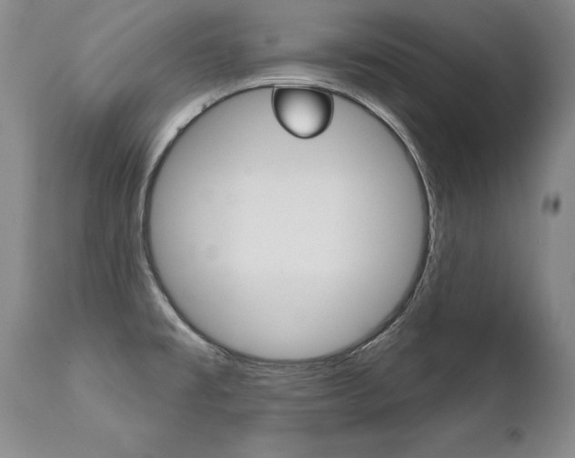 X0000112461477200908171004