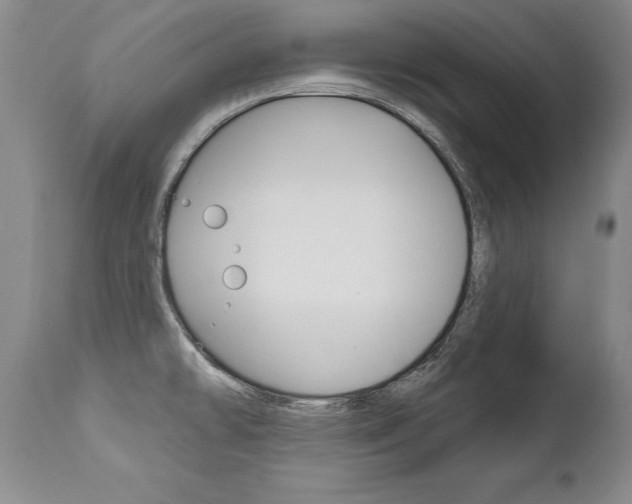 X0000112461478200908171004