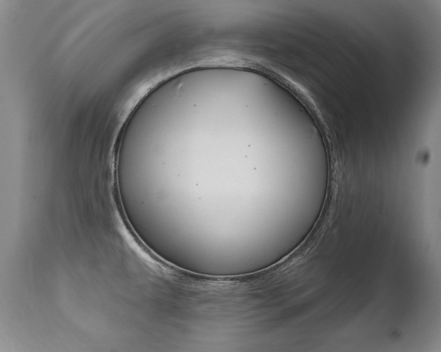 X0000112461479200908171004