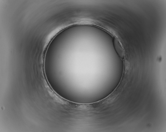 X0000112461480200908171004