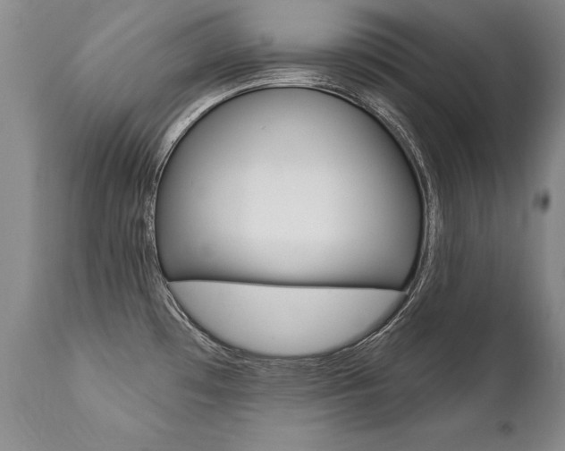 X0000112461481200908171004