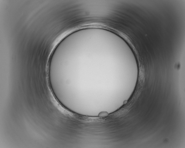 X0000112461482200908171004