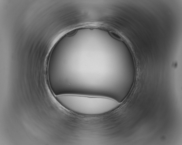 X0000112461483200908171004