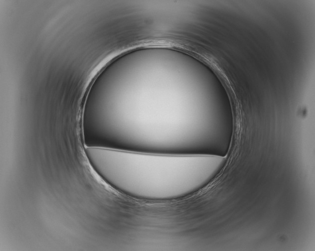 X0000112461484200908171004