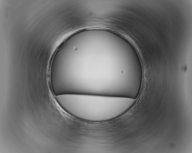 X0000112461485200908171004