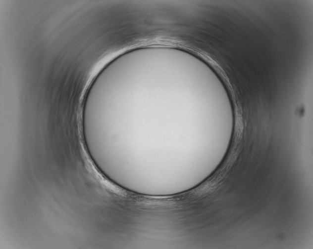 X0000112461486200908171004