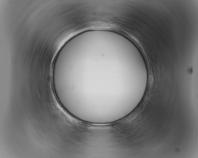 X0000112461487200908171004