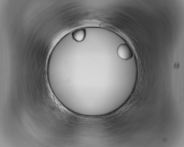 X0000112461488200908171004