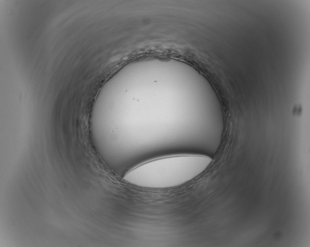 X0000112461489200908171003
