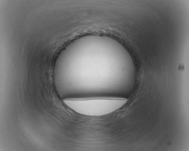 X0000112461490200908171003