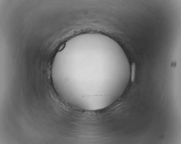 X0000112461491200908171003