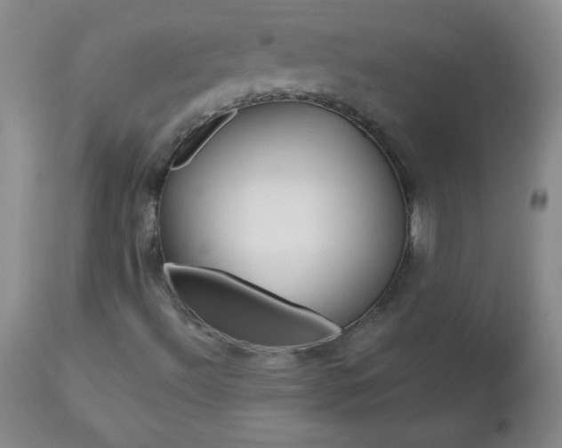 X0000112461492200908171003