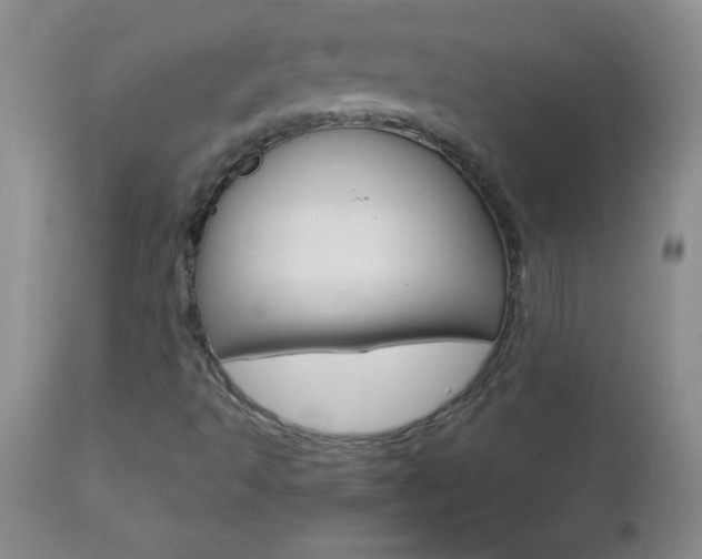 X0000112461493200908171003