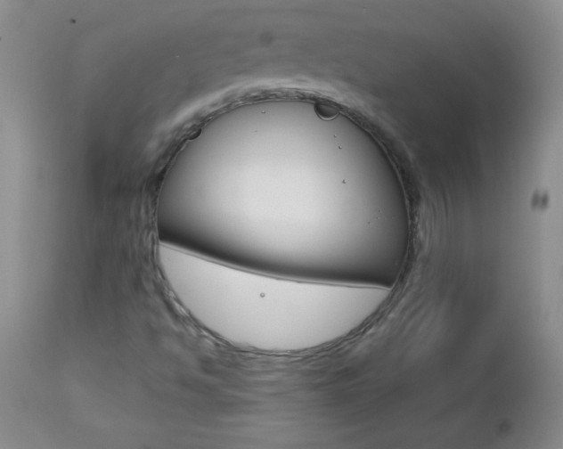 X0000112461494200908171003