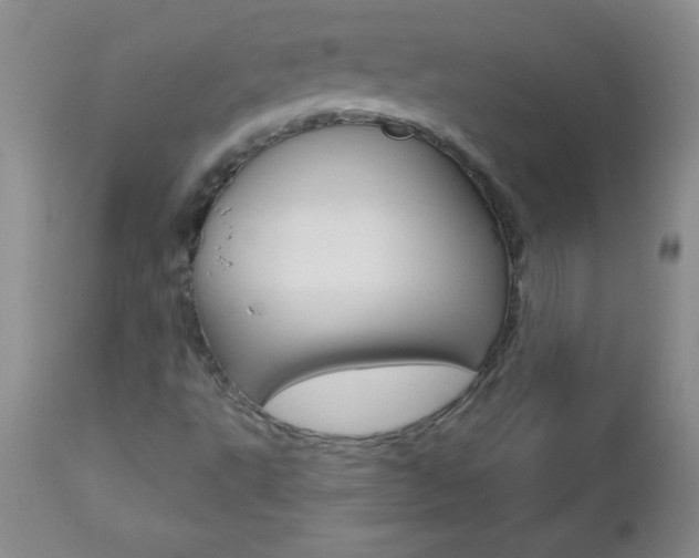 X0000112461495200908171003