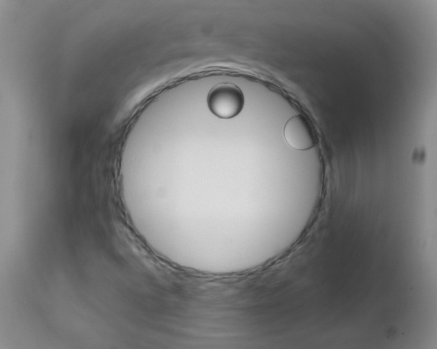 X0000112461496200908171003