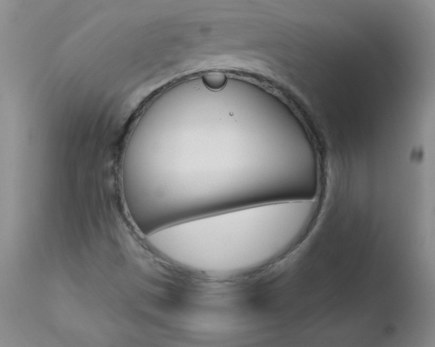 X0000112461497200908171003