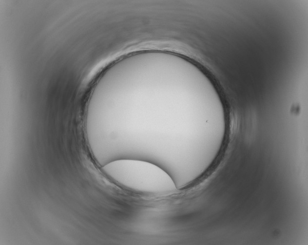 X0000112461498200908171004