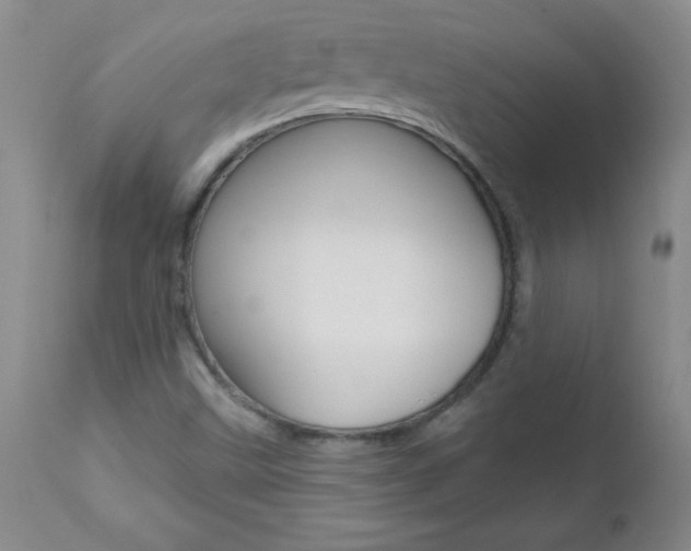 X0000112461499200908171004
