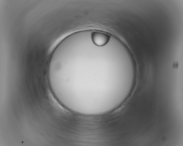 X0000112461500200908171004