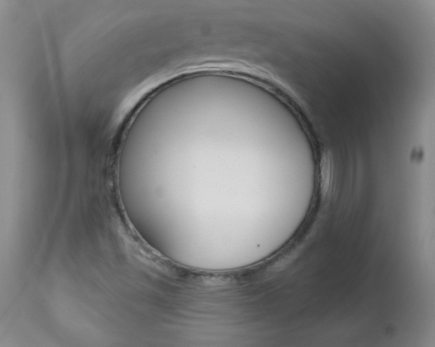 X0000112461501200908171004