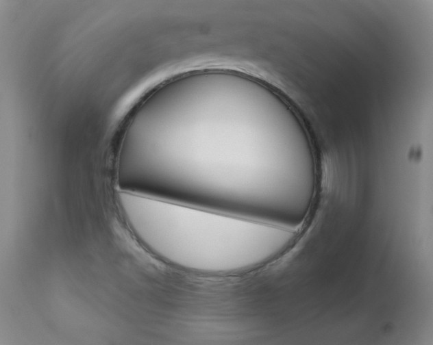 X0000112461502200908171004