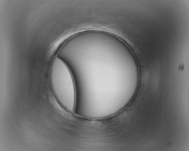 X0000112461503200908171004