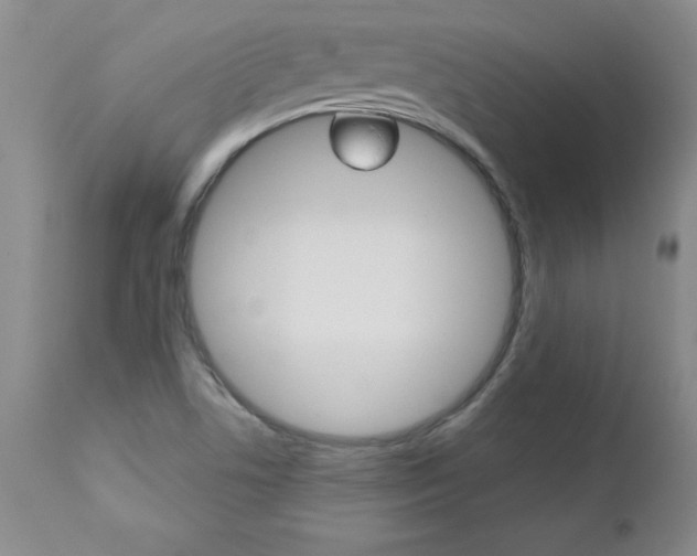 X0000112461506200908171004