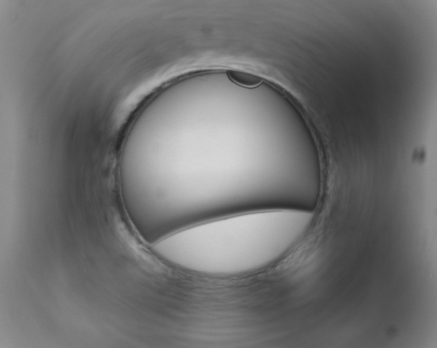 X0000112461507200908171004