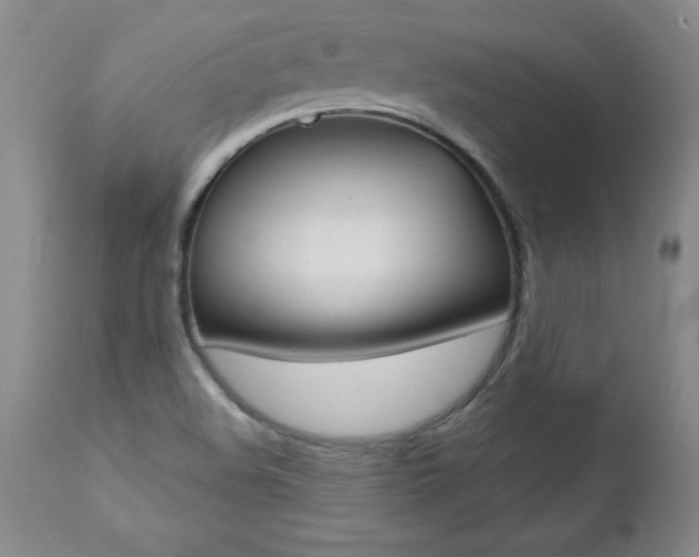 X0000112461508200908171004