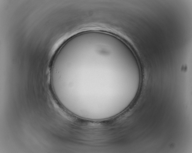 X0000112461509200908171004