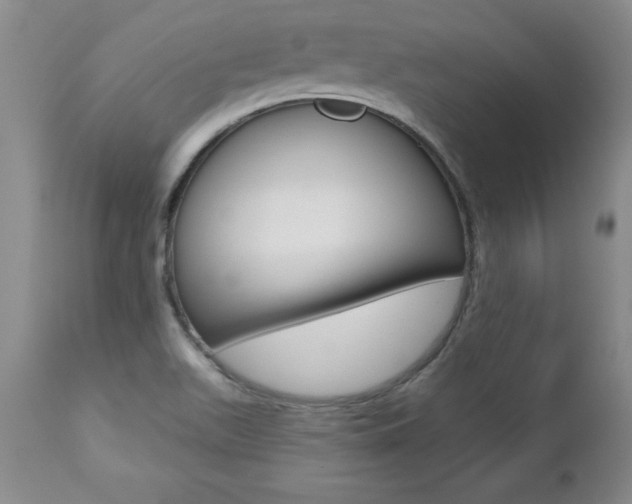X0000112461511200908171004