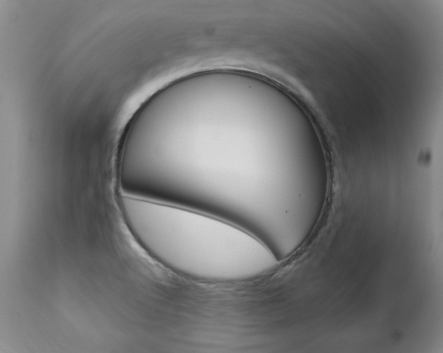 X0000112461512200908171004
