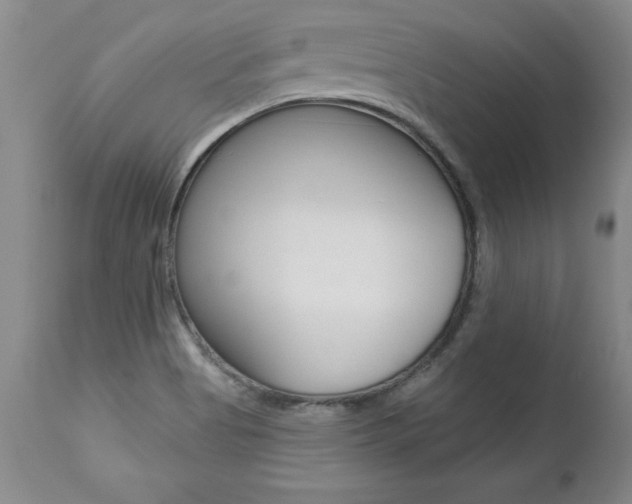 X0000112461513200908171004