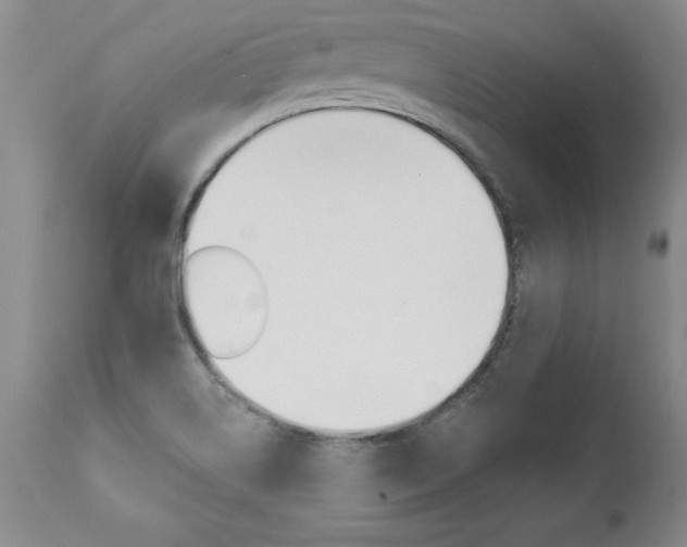 X0000112461514200908171004