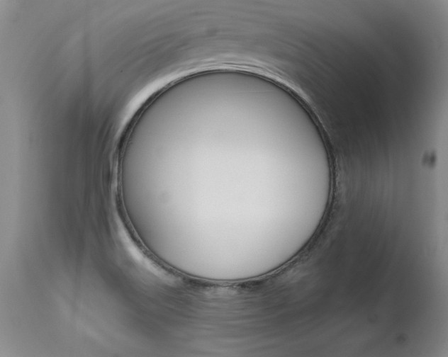X0000112461515200908171004
