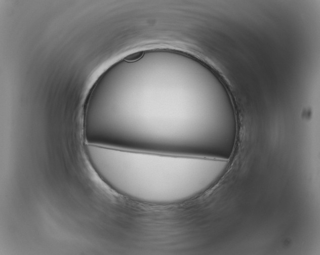 X0000112461516200908171004