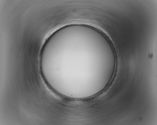 X0000112461517200908171004