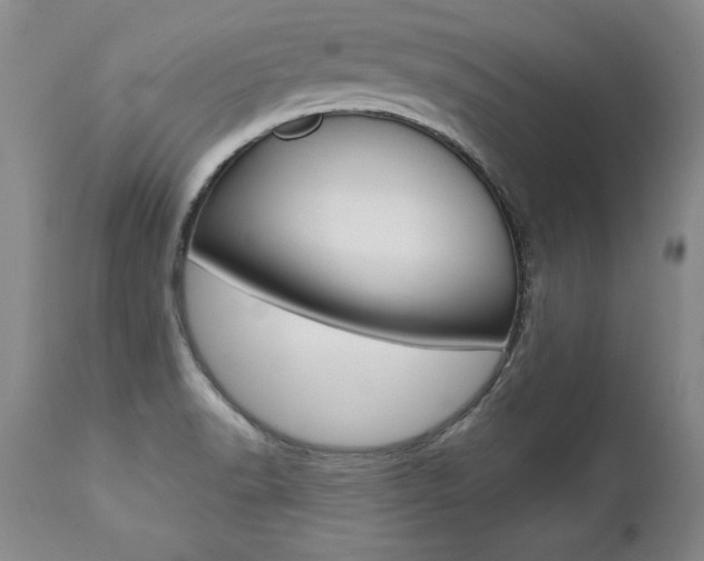X0000112461518200908171004