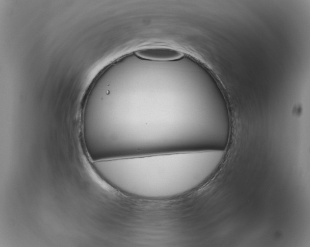 X0000112461519200908171004