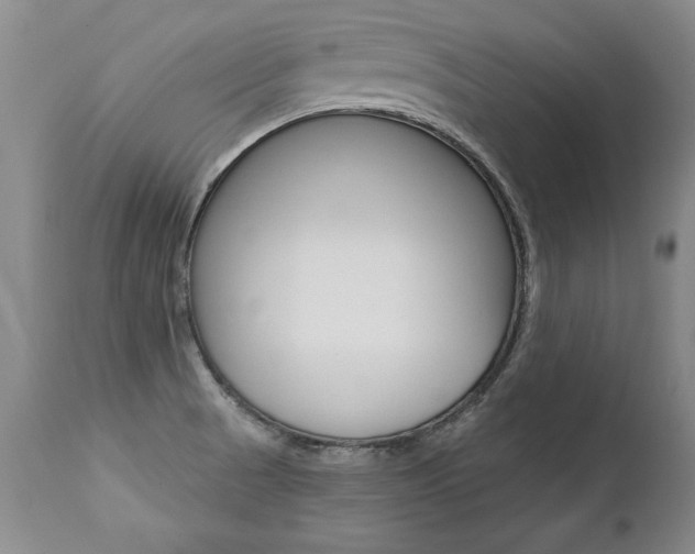 X0000112461521200908171004