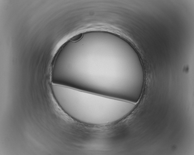 X0000112461522200908171004