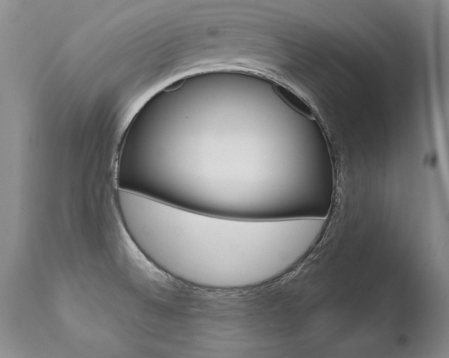 X0000112461524200908171004
