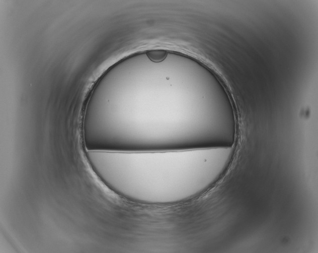 X0000112461525200908171004