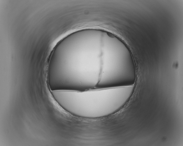 X0000112461526200908171004
