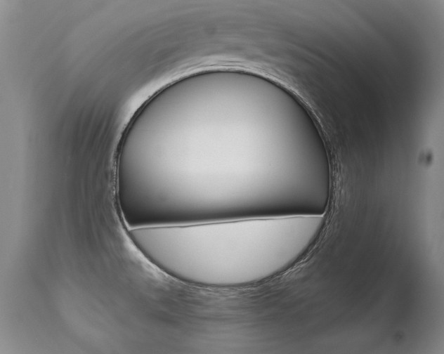 X0000112461527200908171004
